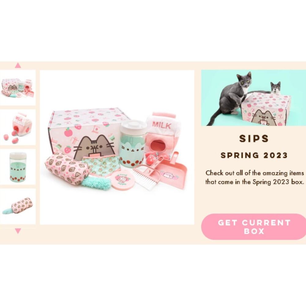 Spring 2023 Cat Kit Pusheen Sips  box